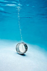 Long Tom Silver Poster