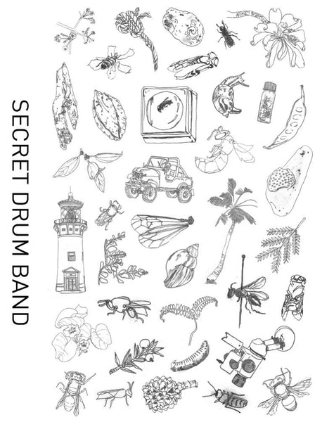 Secret Drum Band: The Hylaeus Project - Digital Download - Drummers | Music | Feminism: Shop Tom Tom