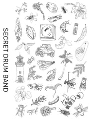 Secret Drum Band: The Hylaeus Project - Digital Download